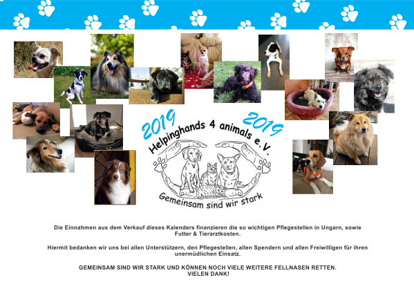 Kalender-2019-Komplett-pfotenhilfe