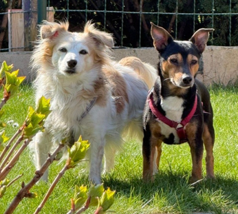 SAMMY und LUCKY